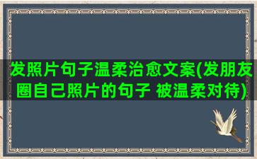 发照片句子温柔治愈文案(发朋友圈自己照片的句子 被温柔对待)